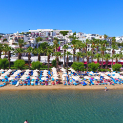 Sami Beach Hotel. - Bild 16
