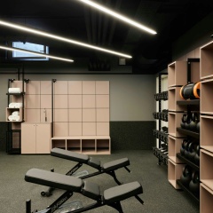 Schwan Locke - Bild 17