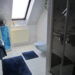 Erholung Celle - Bild 2