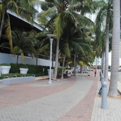 Icon Residences W Miami by Sunnyside Resorts - Bild 17