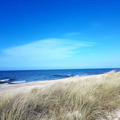 Ferienhaus an der Ostsee - Bild 15