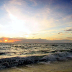 The Royal Inn Beach Hotel Hutchinson Island thumbnail 17