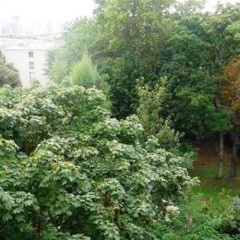 Bed & Breakfast Florale - Bild 10