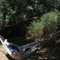 Surf N Sand Hostel thumbnail 3
