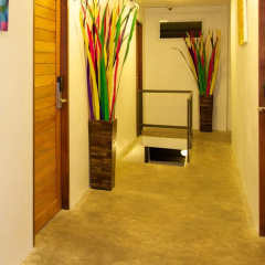 Mint Hotel thumbnail 11
