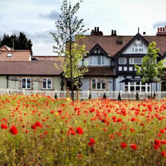 The Red Lion Inn by Greene King Inns thumbnail 8