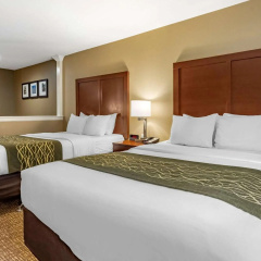 Comfort Inn & Suites Pittsburgh South thumbnail 3