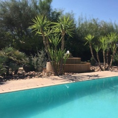 Fawakay Villas - Bild 13