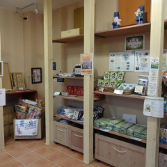 Hachijo View Hotel thumbnail 14