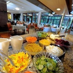 Wald-Cafe - Bild 12
