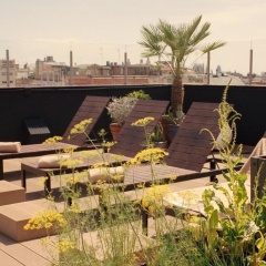 Pol & Grace Hotel - Bild 16