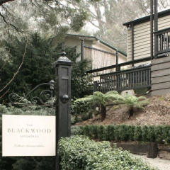 The Blackwood thumbnail 20