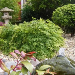AmarAgua Guest House thumbnail 13
