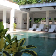 Villa Putih Lovina - Bild 11