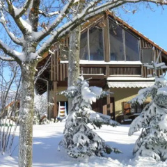 Bayerisches Landhaus bei Passau "Chalet Ilona im Park" - Bild 1