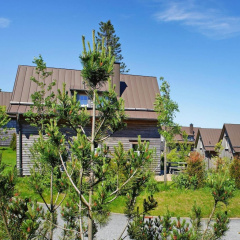 Ferienhauser, Torfhaus Harz - Bild 13