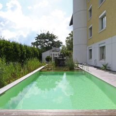 Sorell Hotel Sonnental Dübendorf - Bild 17