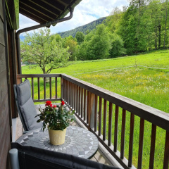 Gipfelglück - Bild 9