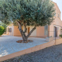 Portocolom - 261836 - Bild 21