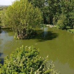 The Pool House at Upper Farm Henton thumbnail 18