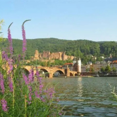 Apartments & Hotel Kurpfalzhof - Bild 4