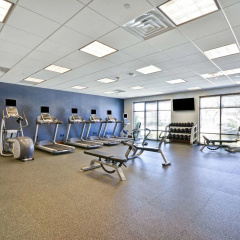 Hampton Inn & Suites Dallas/Plano-East thumbnail 14