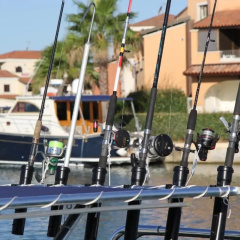 Marinagri Resort thumbnail 25