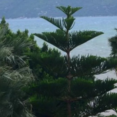 Almena Hotel - Bild 18
