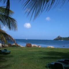 Bay Guesthouse in Marisule, St. Lucia from 303$, photos, reviews - zenhotels.com photo 5