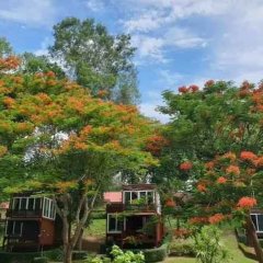 Cliff & Cape Camping Resort in Sai Yok, Thailand from 91$, photos, reviews - zenhotels.com photo 16