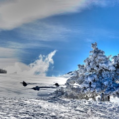 Agaoglu My Mountain Hotel - Bild 5