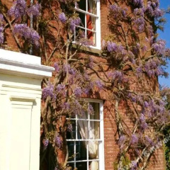 The Old Rectory B&B thumbnail 15