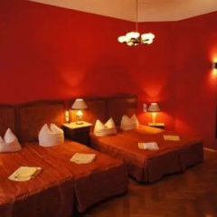 Hotel Elite Heidelberg - Bild 7