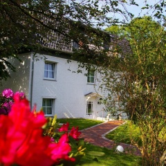 Hotel zum Kuhhirten - Bild 20