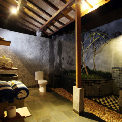 DD Ubud Jungle Villa - Bild 11