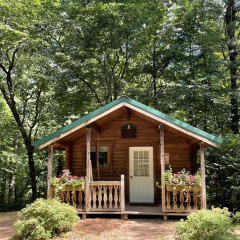 Yogi Bear's Jellystone Park Camp-Resort Wisconsin Dells thumbnail 41