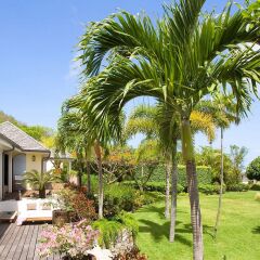 Dream Villa Lurin 589 in Gustavia, Saint Barthelemy from 1444$, photos, reviews - zenhotels.com photo 21