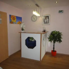 Hotel DenRiKo - Bild 10