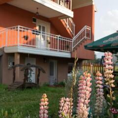 Apartments Dedeic in Zabljak, Montenegro from 74$, photos, reviews - zenhotels.com photo 12