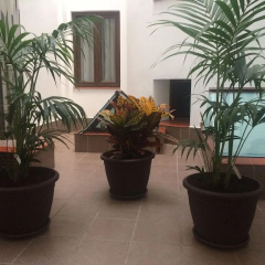 Hotel Castilla Guerrero - Bild 11