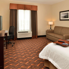 Hampton Inn & Suites Harvey/New Orleans West Bank thumbnail 4