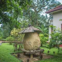 Randiya Epiliyagoda Resort in Ratnapura, Sri Lanka from 79$, photos, reviews - zenhotels.com photo 12