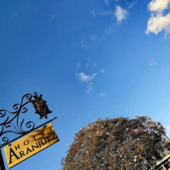 Hotel Aranjuez
