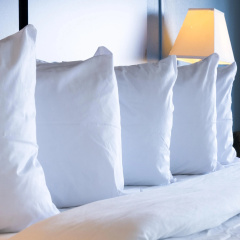 Americas Best Value Inn & Suites Phenix City thumbnail 22