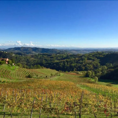 Tenuta Tenaglia thumbnail 10