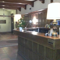 Schwarzer Adler - Bild 2