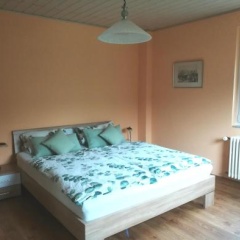 Nichtraucherferienwohnung-Neckarblick - Bild 1