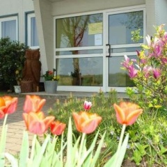 Giltjes - Bild 7