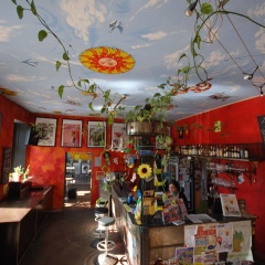 Sunflower Hostel Berlin - Bild 17