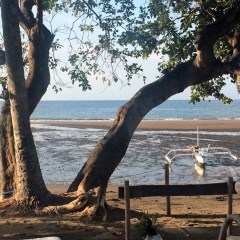 Lilin Lovina Beach Hotel - Bild 12